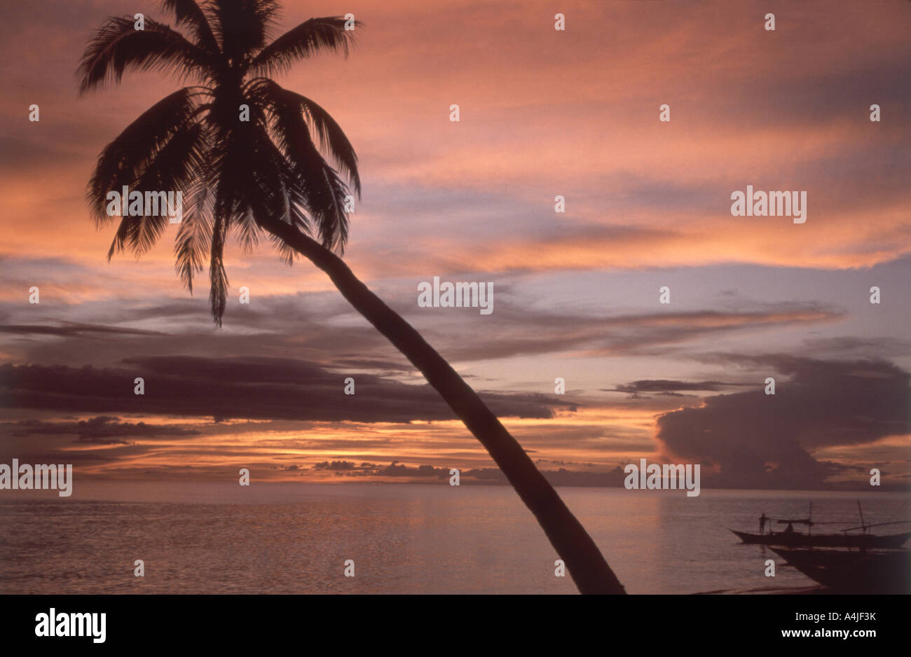 Coucher du soleil tropical, Borocay Island, dans la province de Cebu, Philippines Banque D'Images