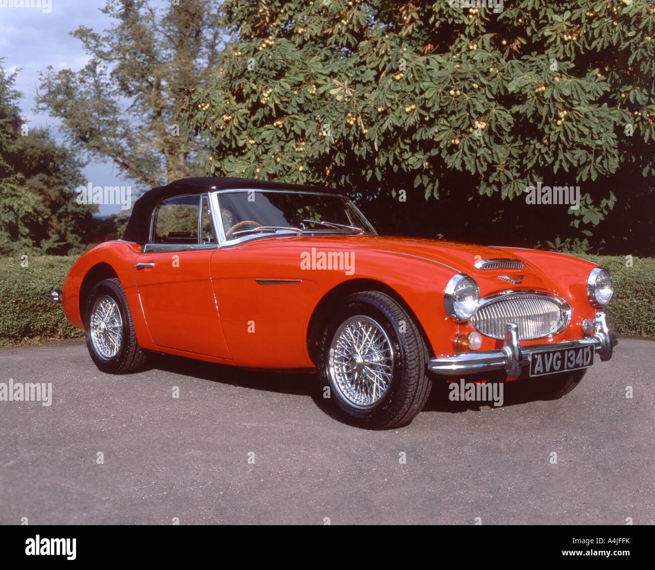 Vintage Austin Healey sports voiture garée dans l'allée, Virginia Water, Surrey, Angleterre, Royaume-Uni Banque D'Images
