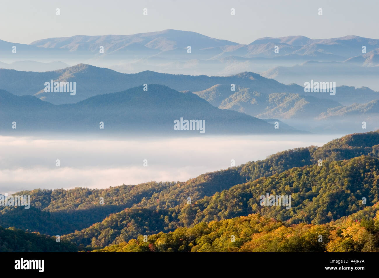 Le Great Smoky Mountains National Park Banque D'Images