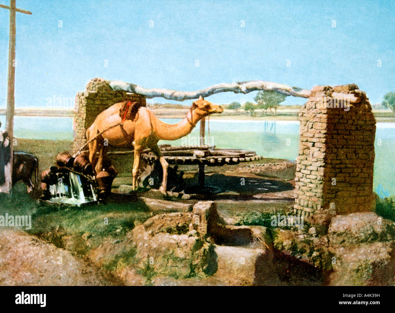 Camel et shaduf, Luxor, Egypte, 20e siècle. Artiste : Inconnu Banque D'Images