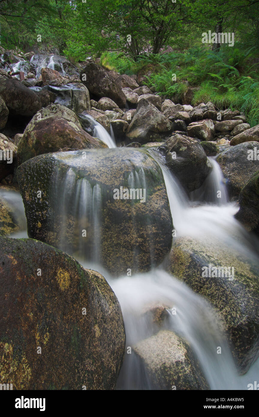 Cours d'eau. Highlands, Ecosse Banque D'Images