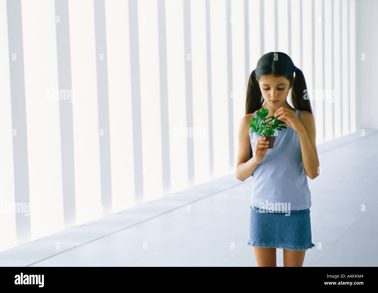 Girl holding potted plant Banque D'Images