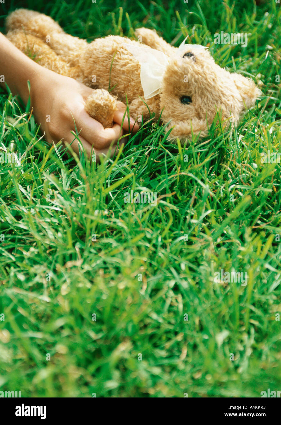 Hand holding teddy bear in grass Banque D'Images