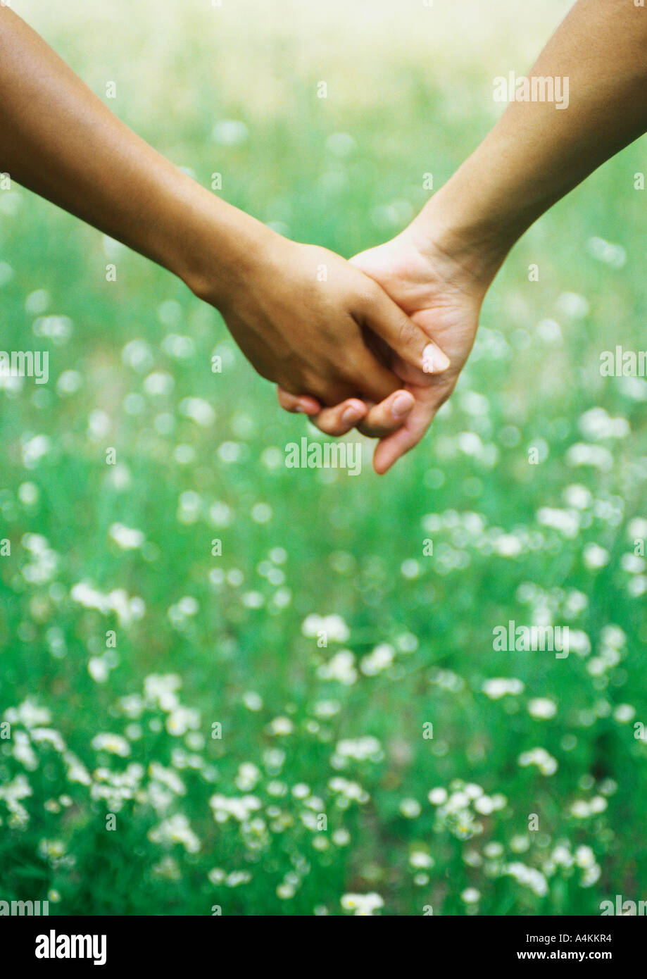Les mains jointes devant l'herbe avec des fleurs sauvages Banque D'Images