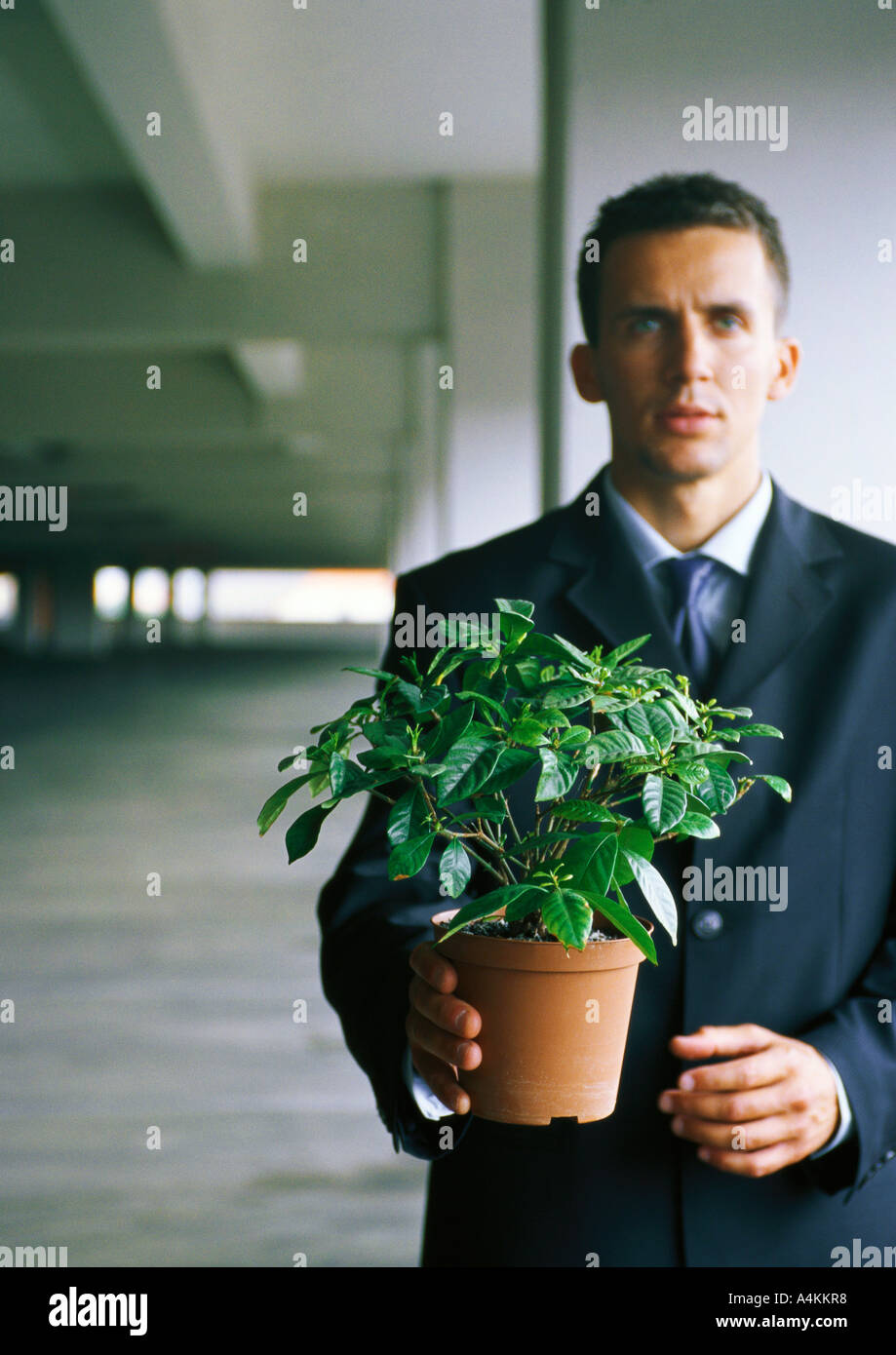 Businessman holding potted plant, looking at camera Banque D'Images