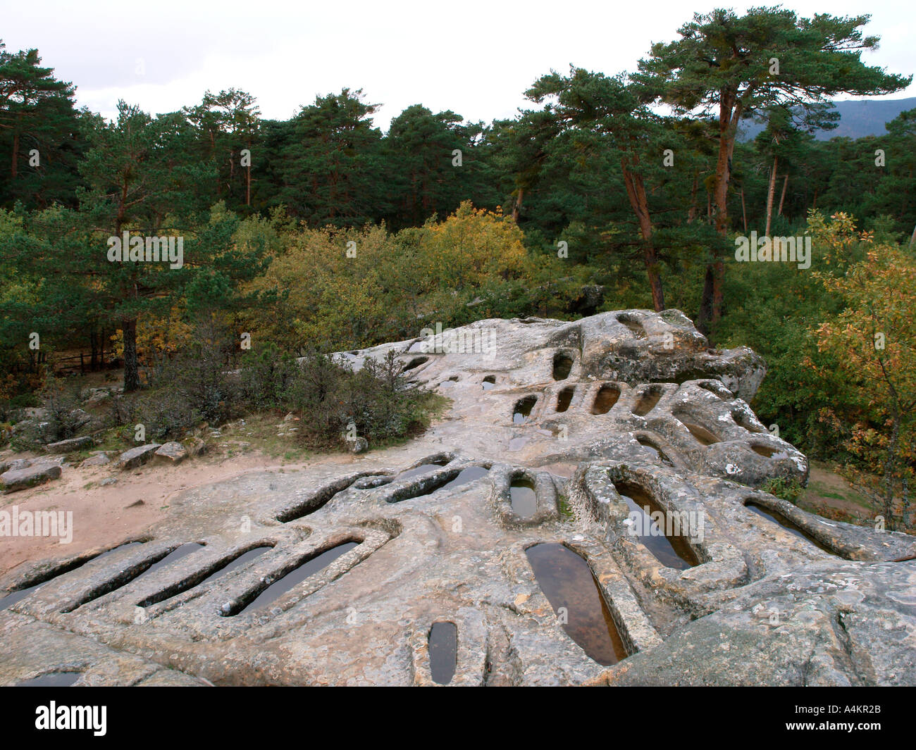 Cuyacabras nécropole de Quintanar de la Sierra dans la province de Burgos Espagne Banque D'Images