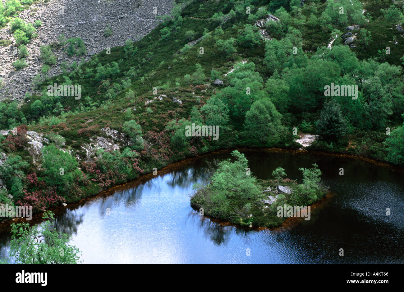 Laguna de la Isla en partie intégrante de la réserve naturelle de l'Espagne Asturias Muniellos Banque D'Images