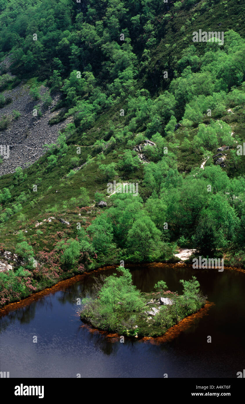 Laguna de la Isla dans la Réserve naturelle intégrale de Muniellos Cangas del Narcea Asturies espagne Banque D'Images