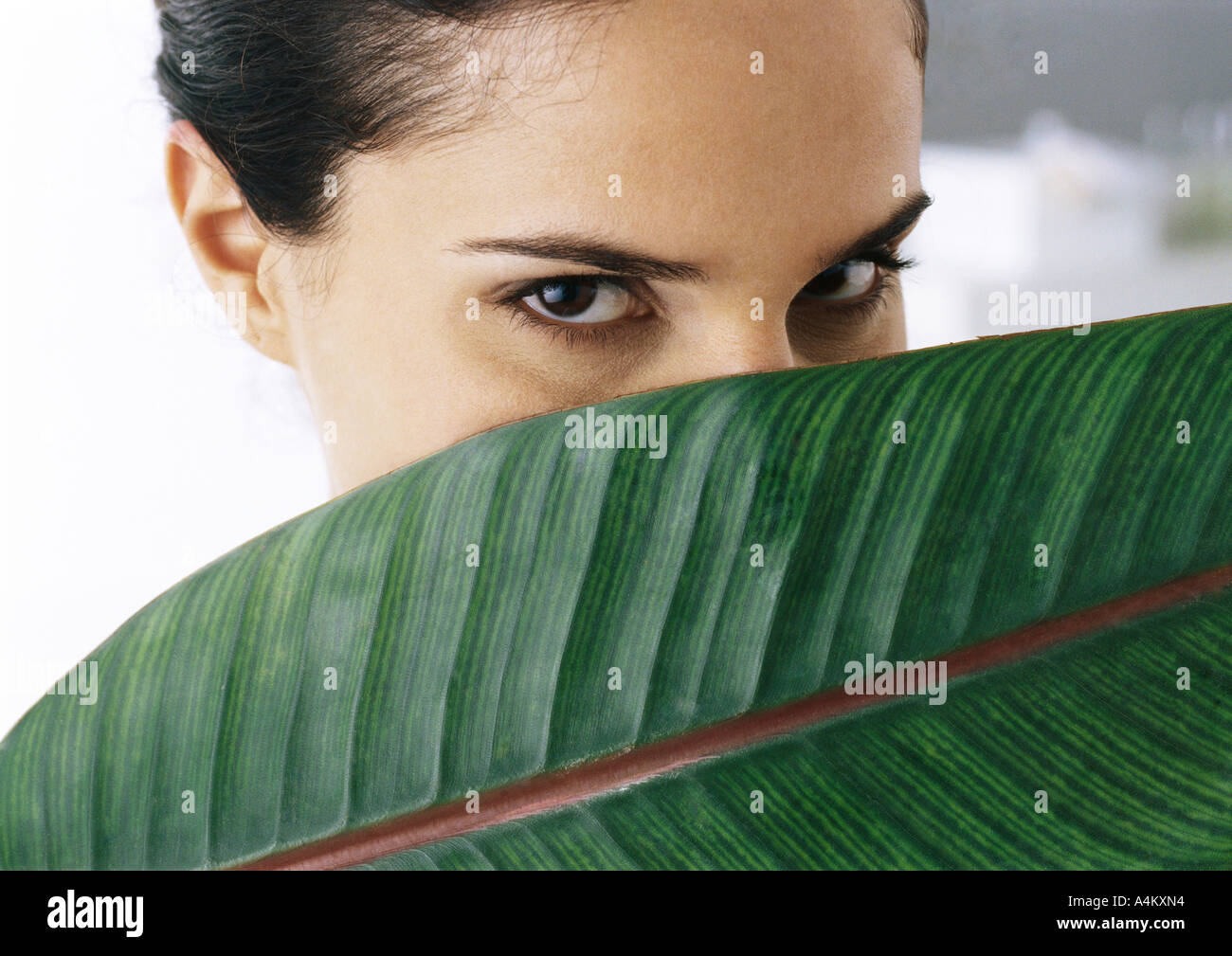 Woman looking at camera, palm leaf couvrant partiellement le visage, close-up Banque D'Images