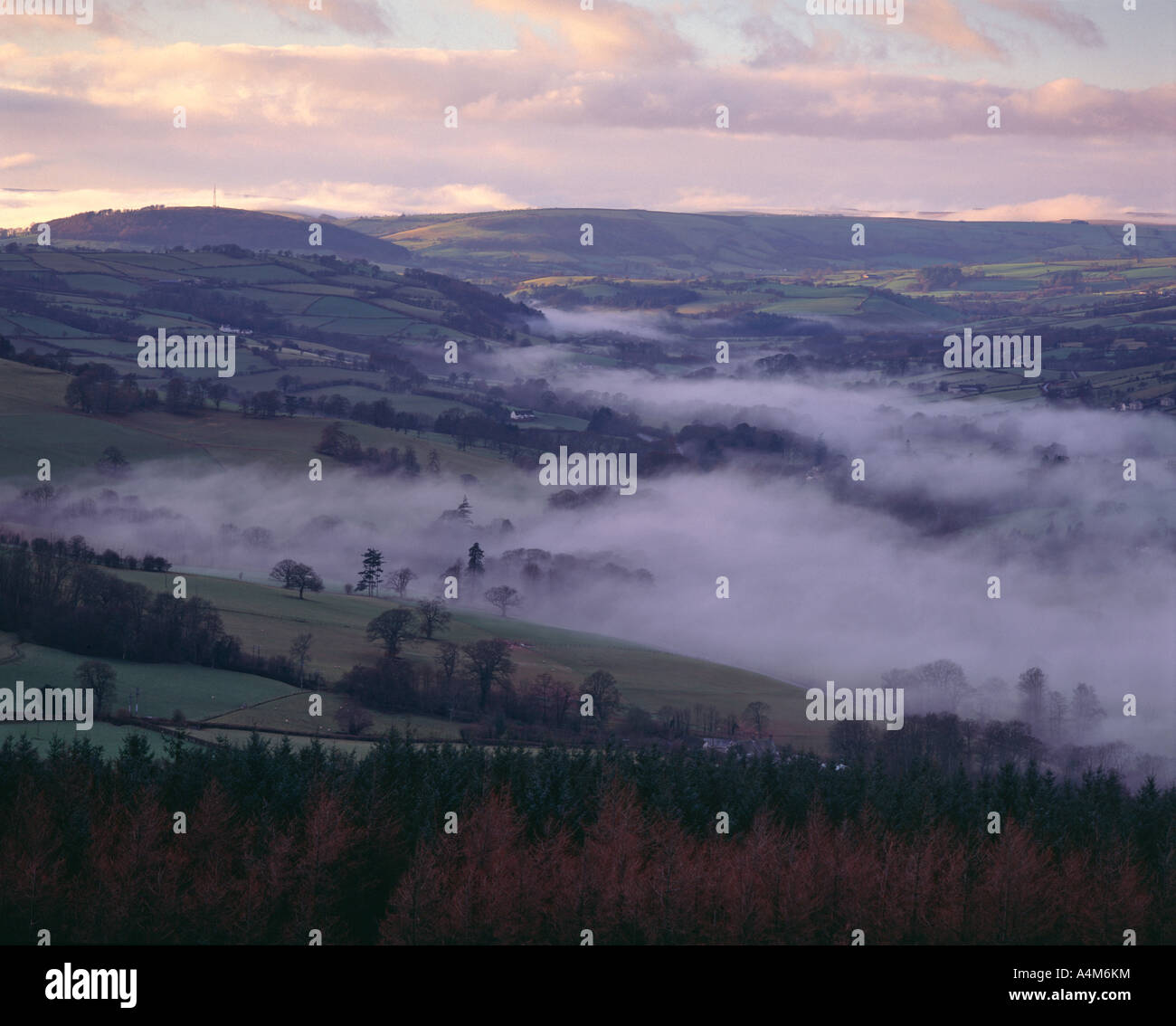 Vallée d'Usk de Twyn y Gaer, Mynydd Illtud, Bannau Brycheiniog (parc national de Brecon Beacons), Powys, pays de Galles, Royaume-Uni Banque D'Images