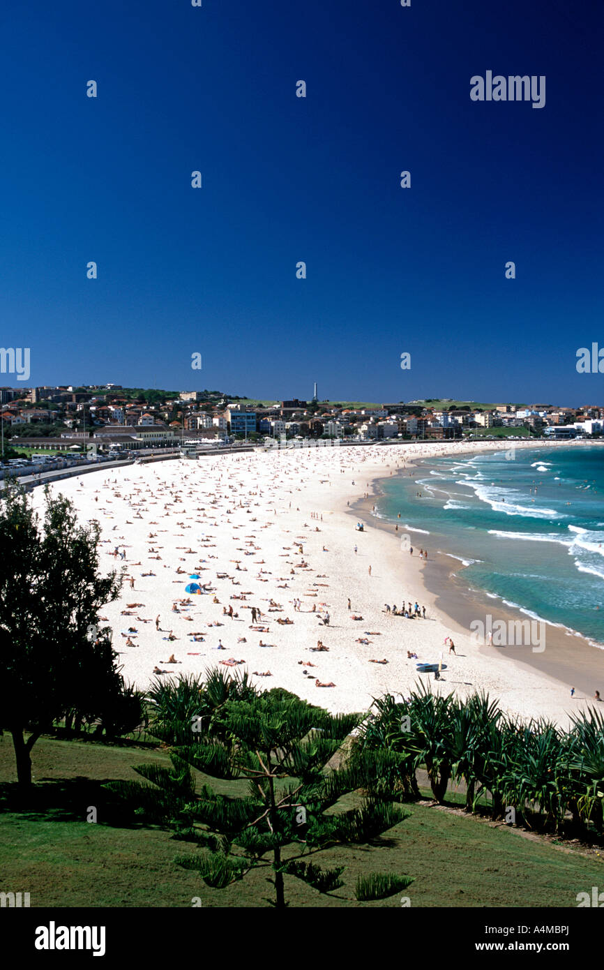 La plage de Bondi à Sydney en Australie. Banque D'Images