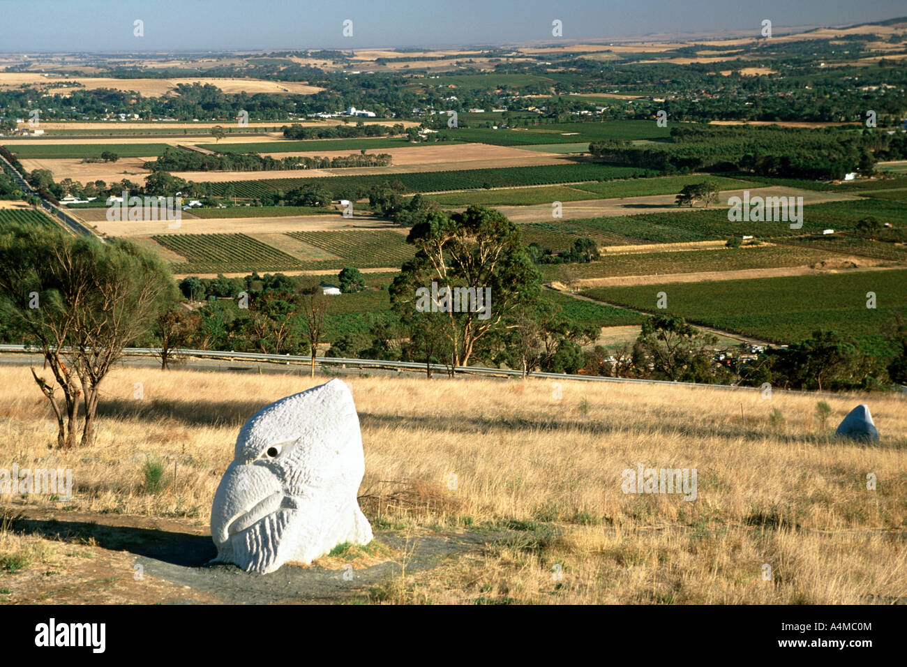 Parc des sculptures de la Vallée de Barossa, Australie-Méridionale. Banque D'Images