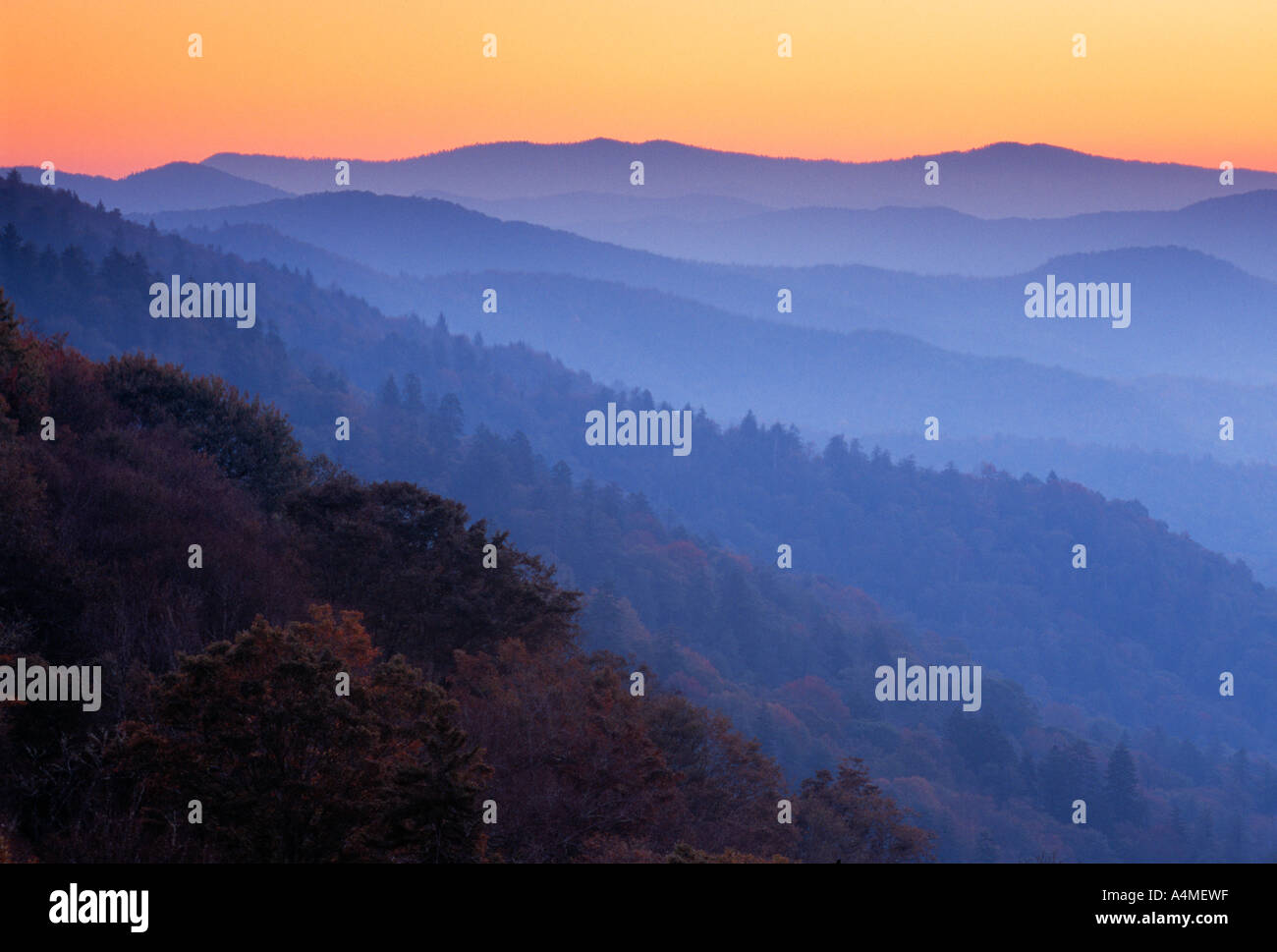 Couches de brume sur Misty Ridge au lever du soleil, parc national des Great Smoky Mountains Banque D'Images