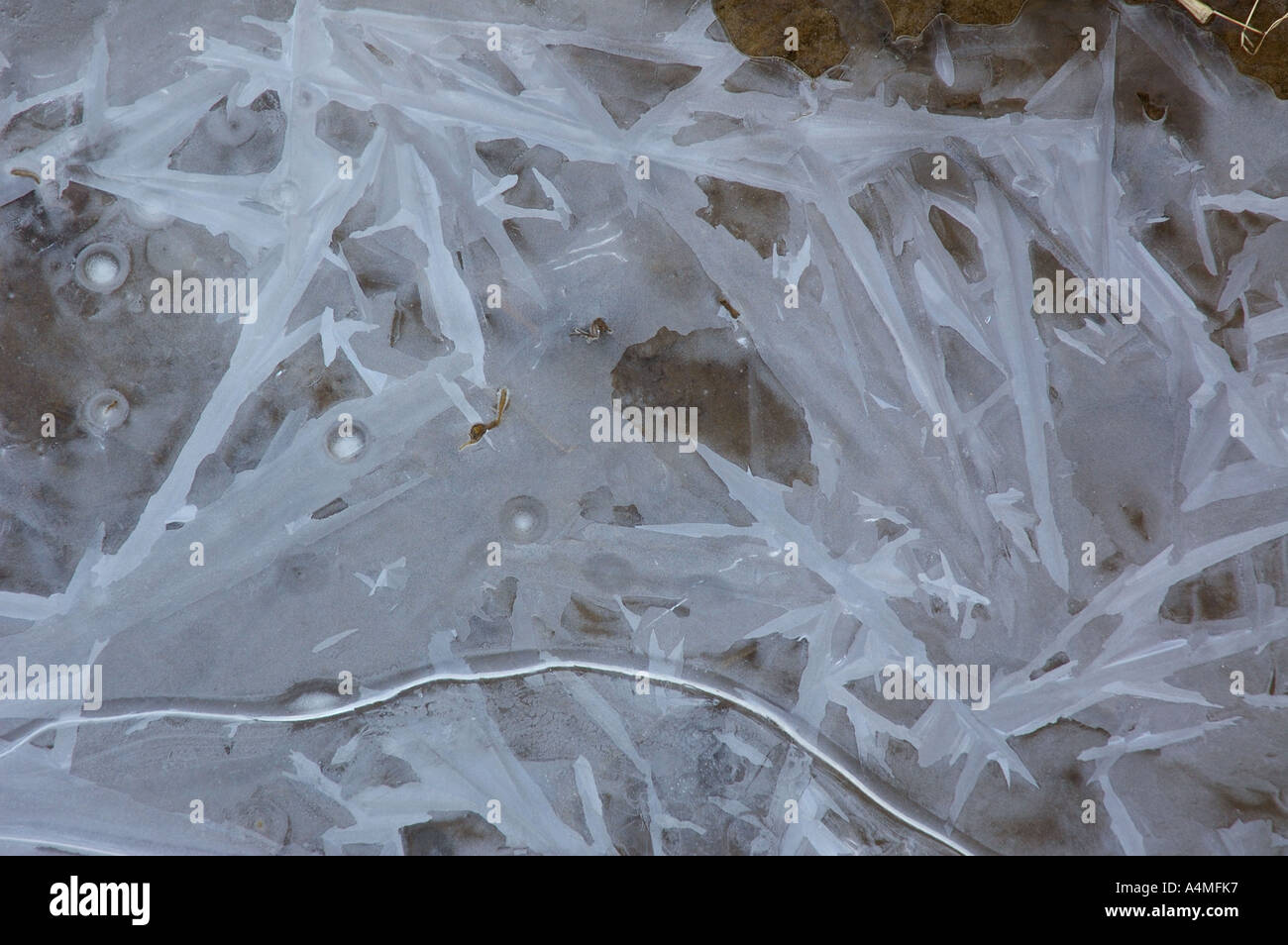 Modèle de glace. Flaque gelée avec motif de surface Banque D'Images