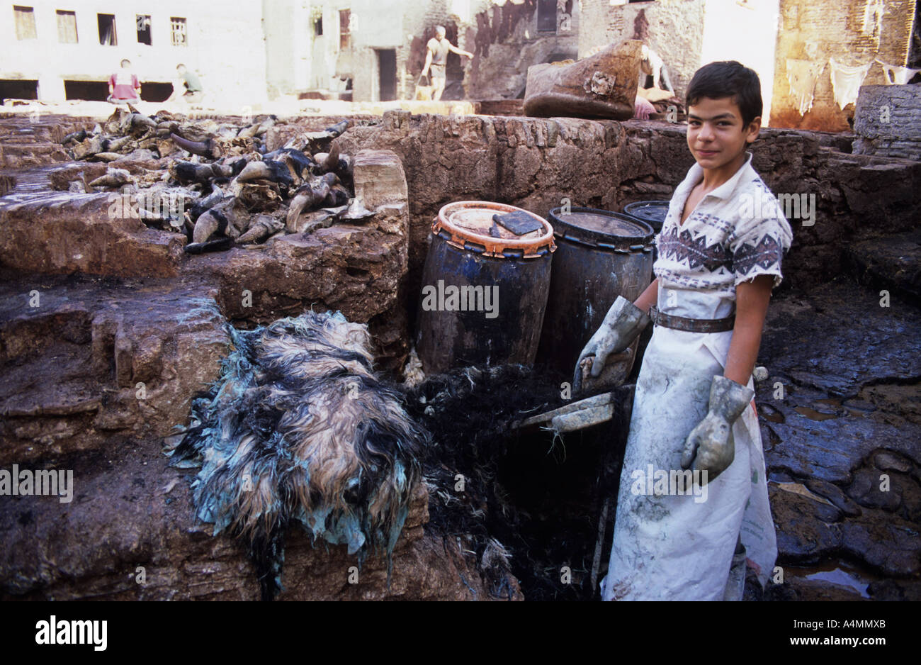 Fes el Bali, au Maroc. Un jeune garçon apprenti à une tannerie Banque D'Images