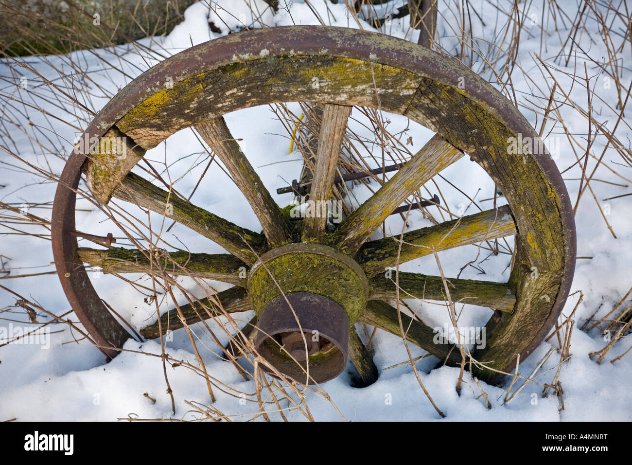 Une vieille roue panier négligé sur la neige (France). Vieille roue de charrette abandonnée dans la neige (France). Banque D'Images