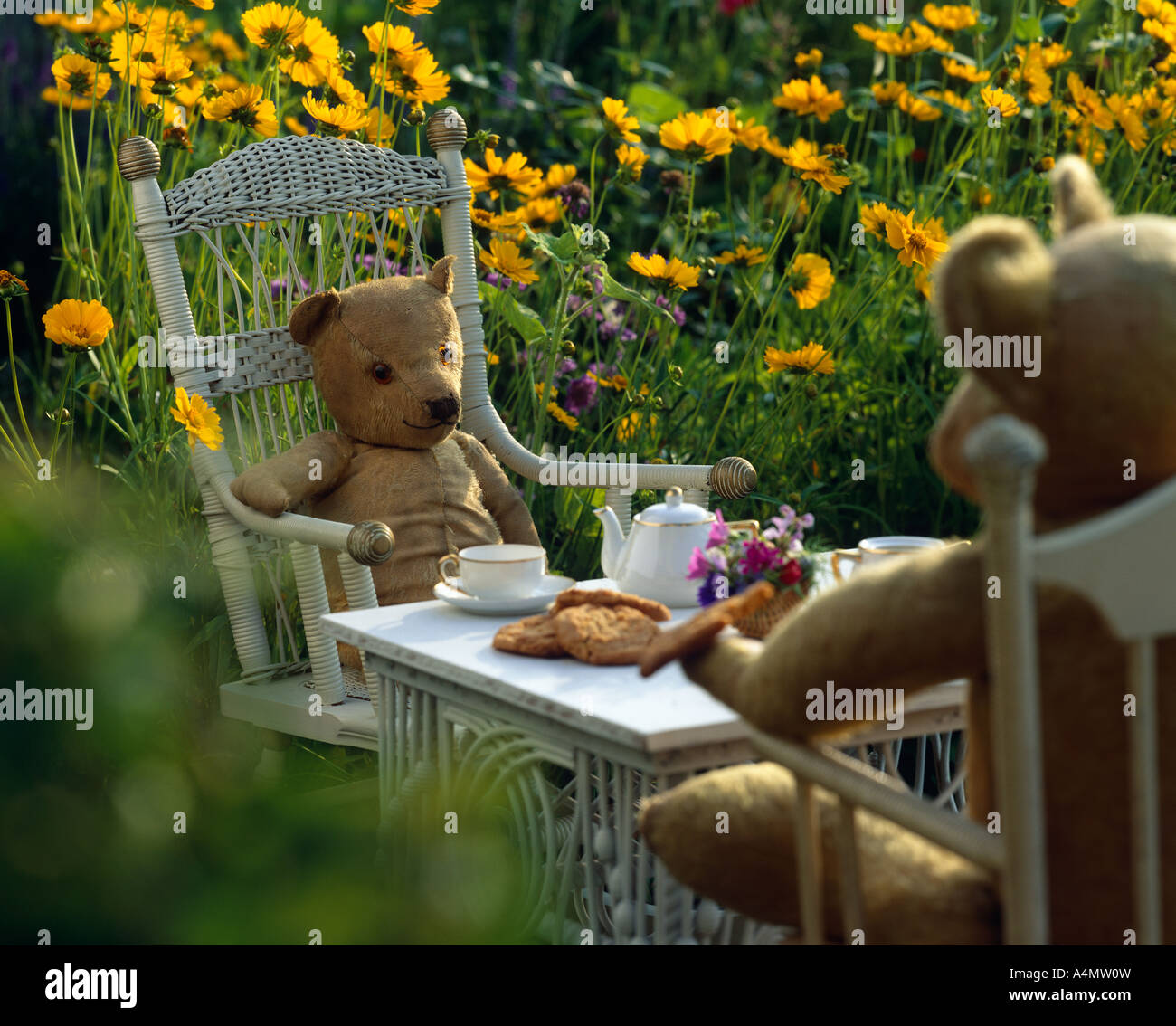 Un ours en peluche à pique-nique au jardin de fleurs sauvages / NEW YORK Banque D'Images