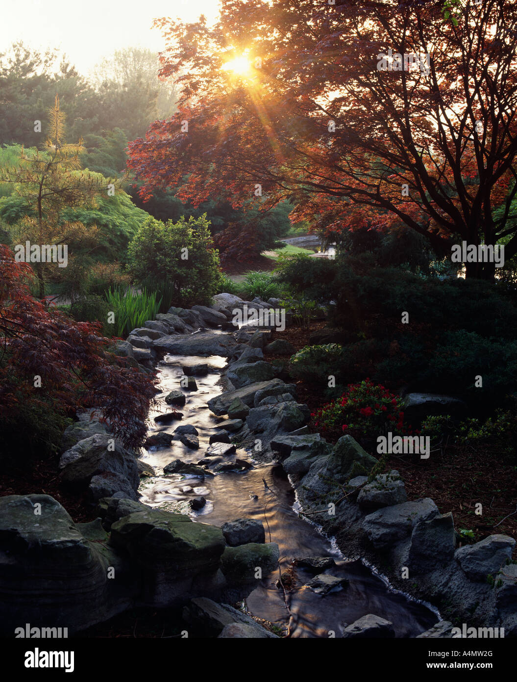 Jardin japonais / NEW YORK Banque D'Images