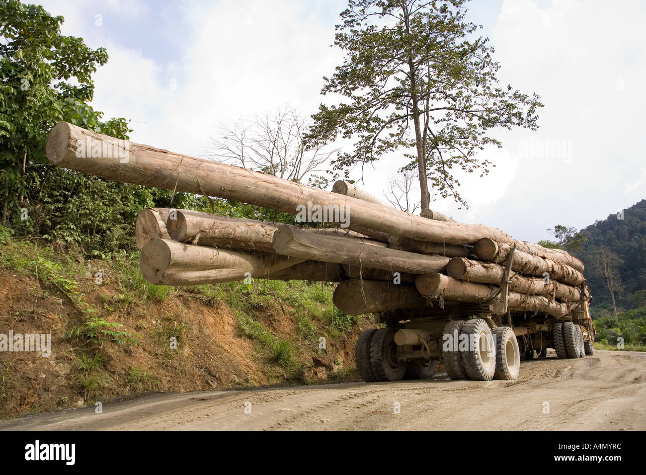 Malaisie Bornéo Sabah Danum Valley camion forestier surchargé de sciage Banque D'Images
