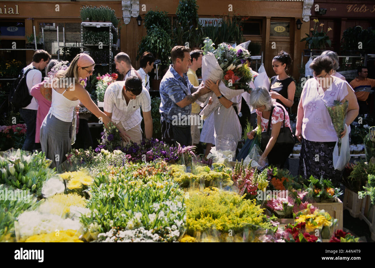 Londres, Royaume-Uni. Columbia Road Flower Market Banque D'Images