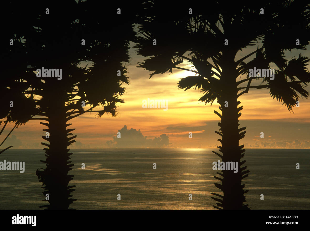 Thailande Phuket Silhouette de palmiers coucher du soleil à Laem Phromthep Banque D'Images