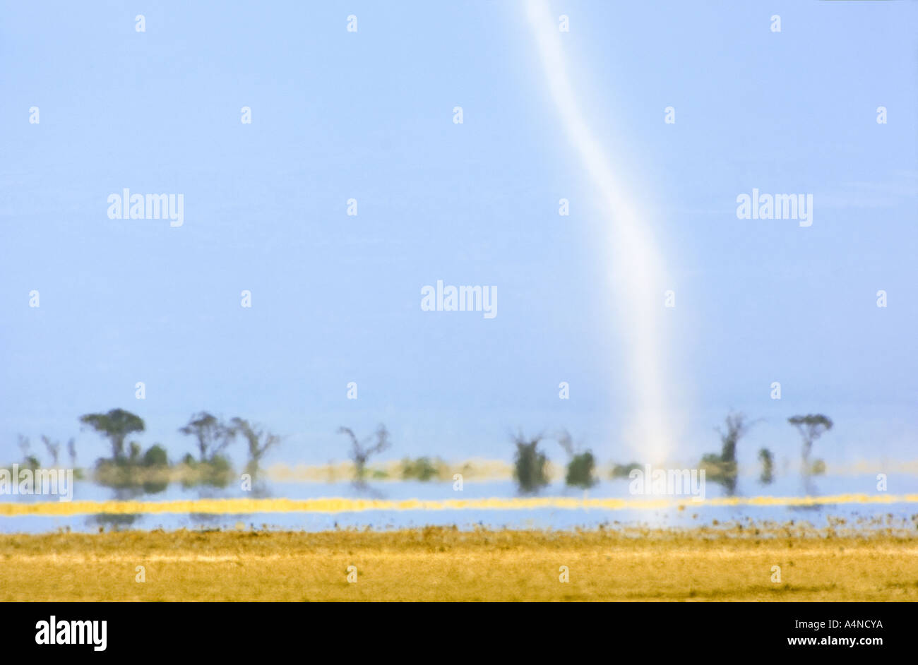 Tornade dans la savane de l'Afrique de l'EST DU PARC NATIONAL D'AMBOSELI AU KENYA kenia ZEBRA fata morgana vortex vortex flexible tornado Banque D'Images