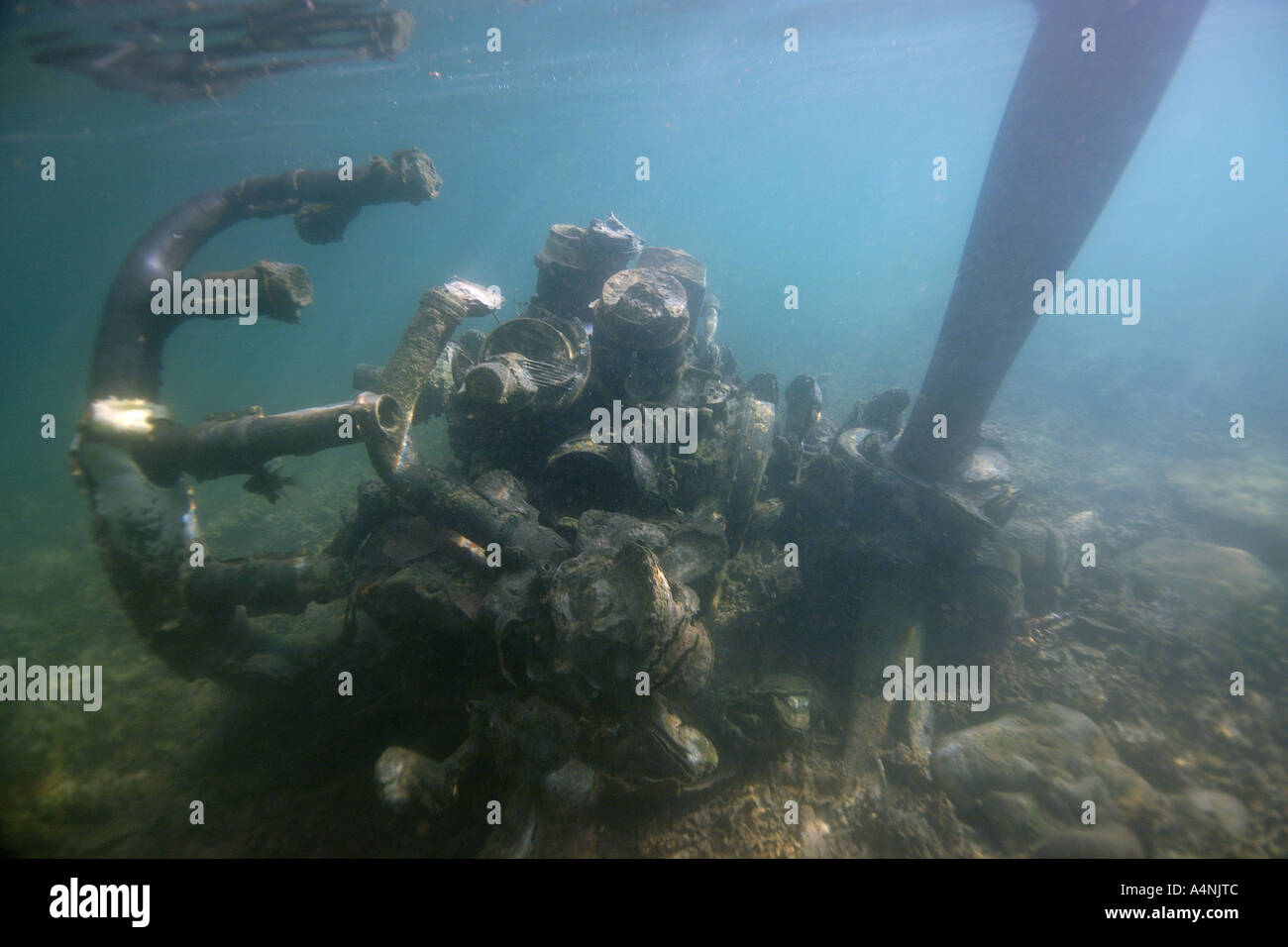 Moteur d'avion de chasse Zero japonais utilisé pendant la Première Guerre mondiale 2 incrustés de palourdes Palau Micronésie Banque D'Images