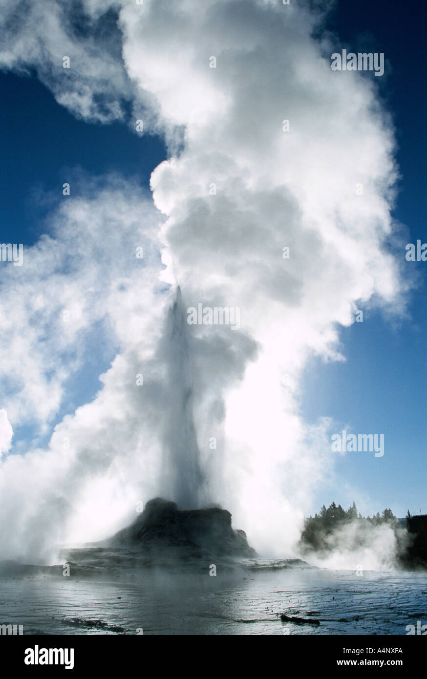 Château Haut Geyser Geyser Basin Yellowstone National Park Site du patrimoine mondial de l'Wyoming United States of America U S A Banque D'Images
