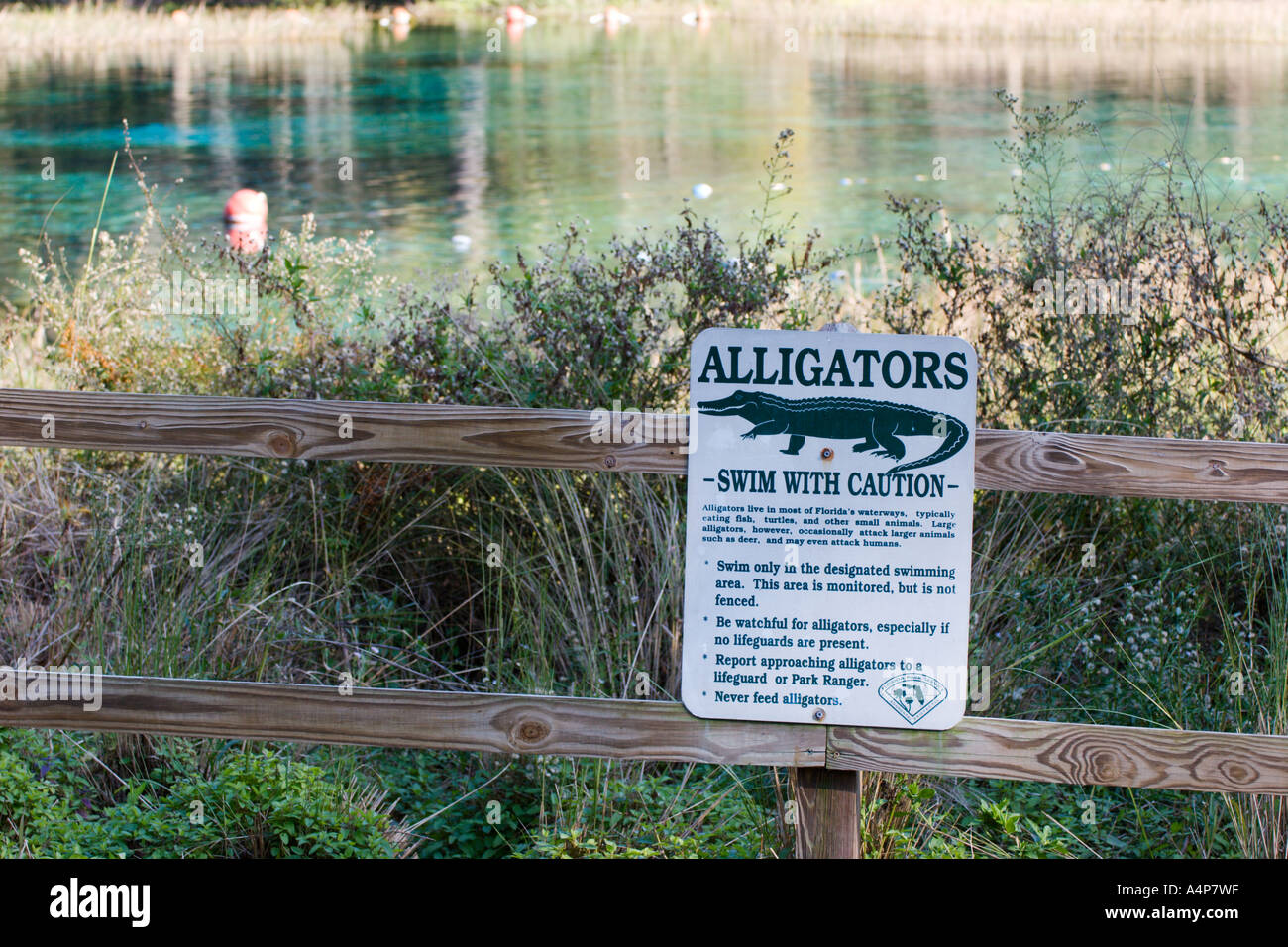Sign avertit les nageurs de la présence d'alligators à la tête du printemps de Rainbow River dans le parc d'État de Rainbow Springs près de Dunnellon en Floride, aux États-Unis Banque D'Images