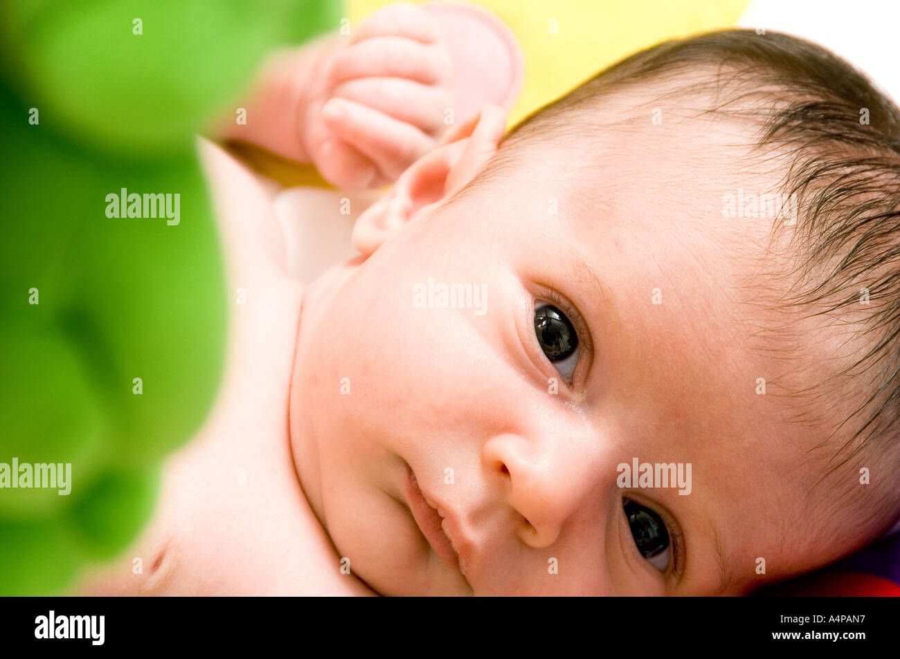 4 Semaine Baby Boy 4 Semaines Bebe Lit Garcon Caucasien Les Soins Aux Enfants Doux Berceau Quatre Semaines A La Maison A L Horizontale Les Droits De L Enfant De La Terre Photo Stock