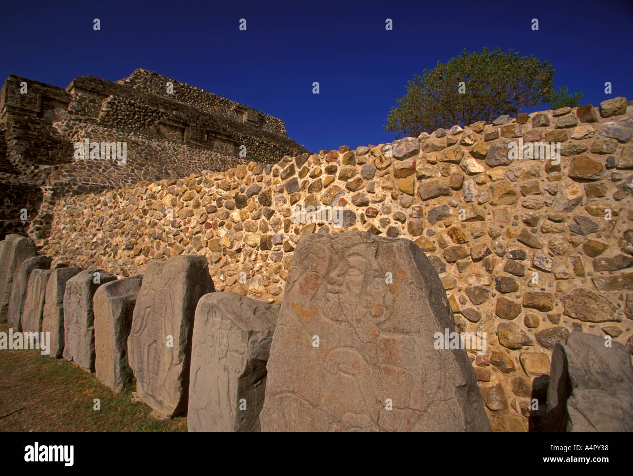 Danzantes, groupe de danseurs, bas-relief chiffres, dalles de pierre, Zone archéologique de Monte Alban, Monte Alban, l'état d'Oaxaca, Mexique Banque D'Images