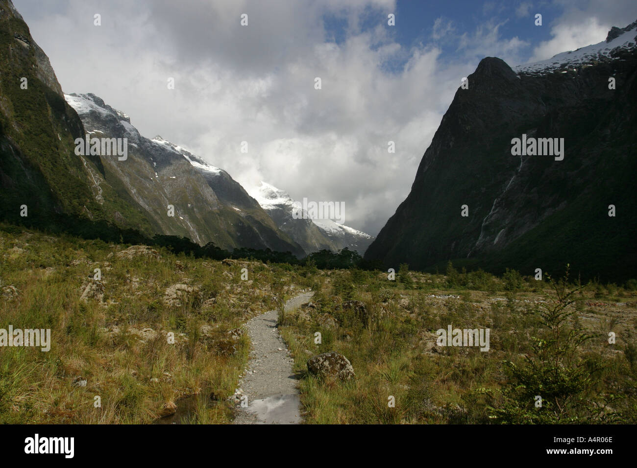 Milford Track NZ Meadow Banque D'Images