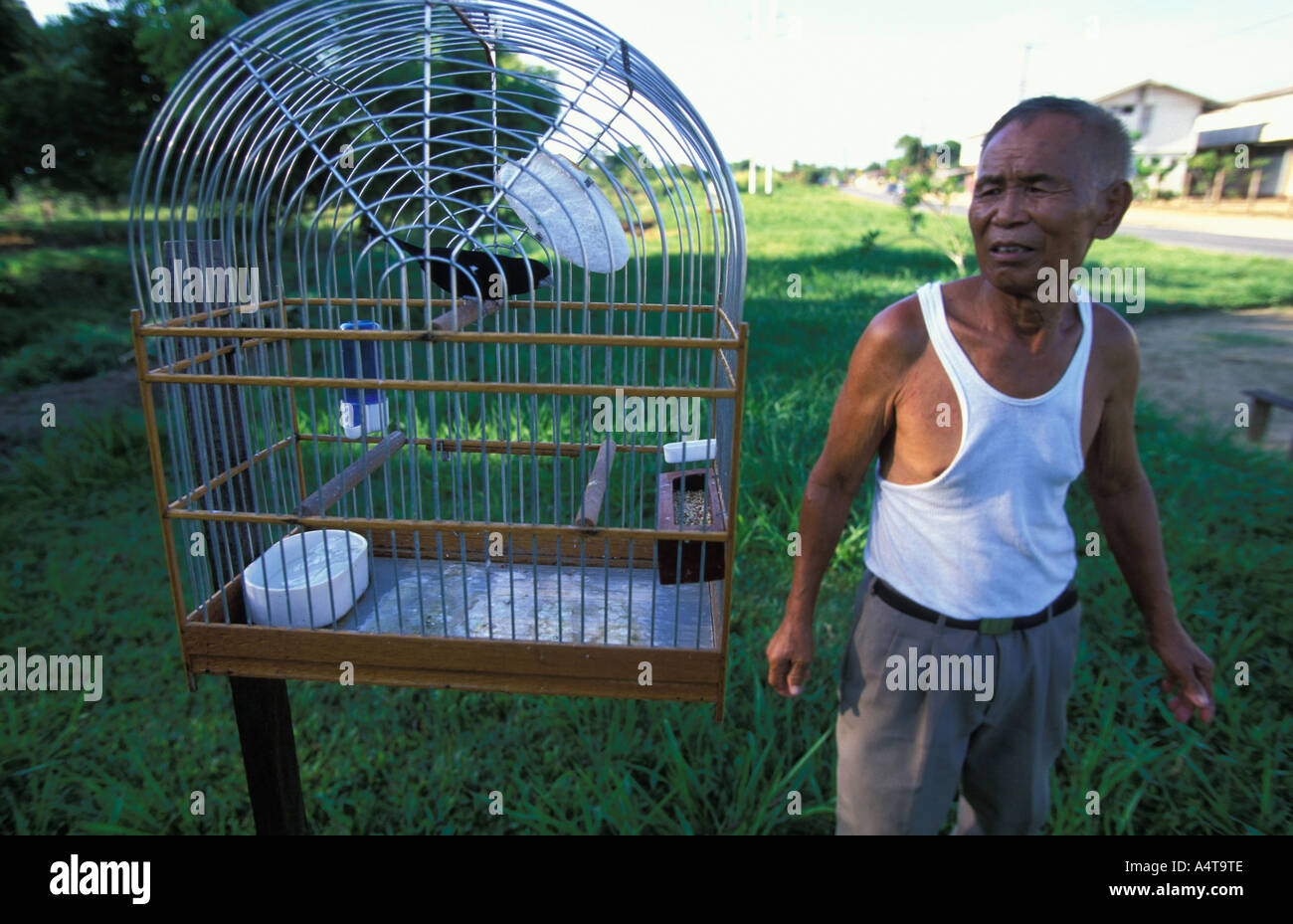 Paramaribo un homme met sa songbird en dehors le matin Banque D'Images