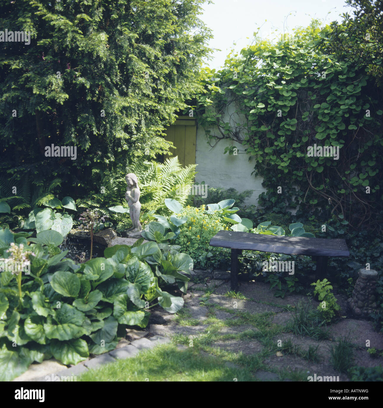 Banc banc en bois rustique petit arbre au coin de jardin ombragé avec arbuste grimpant sur mur blanc Banque D'Images