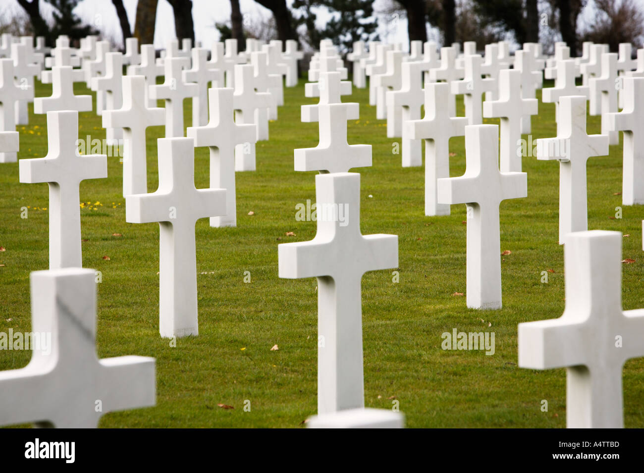 Tombes de guerre au cimetière militaire américain de Coleville-sur-Mer, Normandie, France Banque D'Images