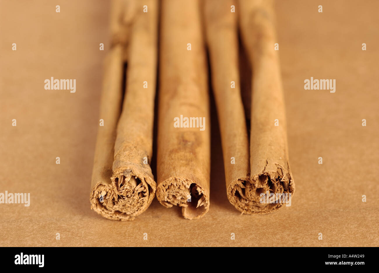 Les bâtons de cannelle, un arôme alimentaire spice de l'écorce intérieure du Cinnamomum arbres Banque D'Images