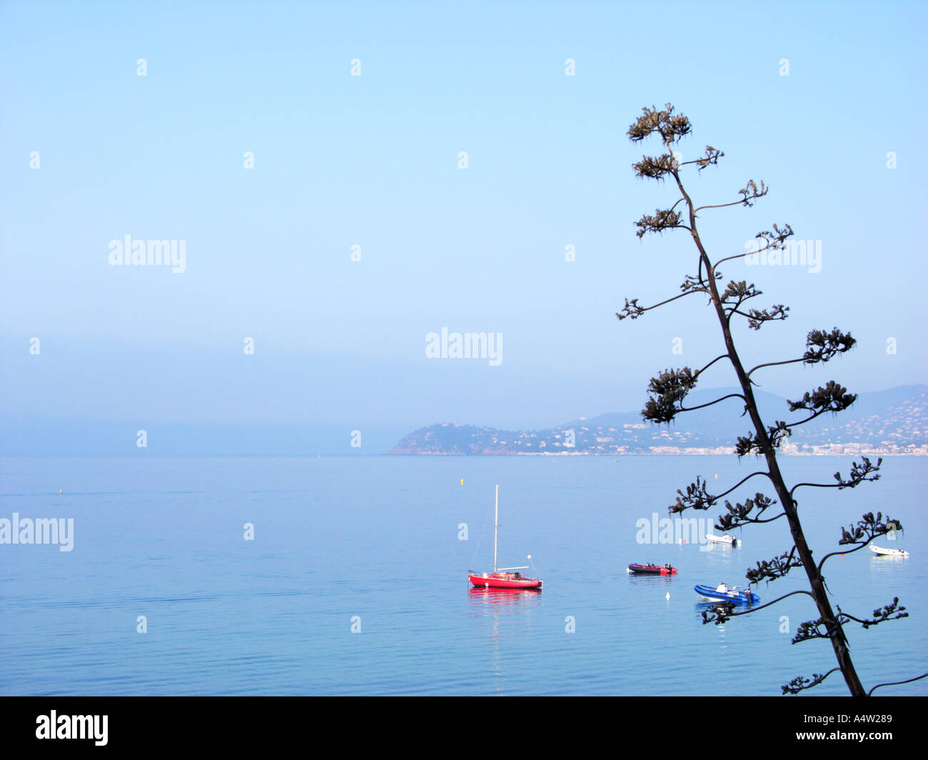 COTE D Azur Sud France Méditerranée côte à La Croix Valmer, près de Saint Tropez voile bateau marin bleu aquatique waterside Banque D'Images