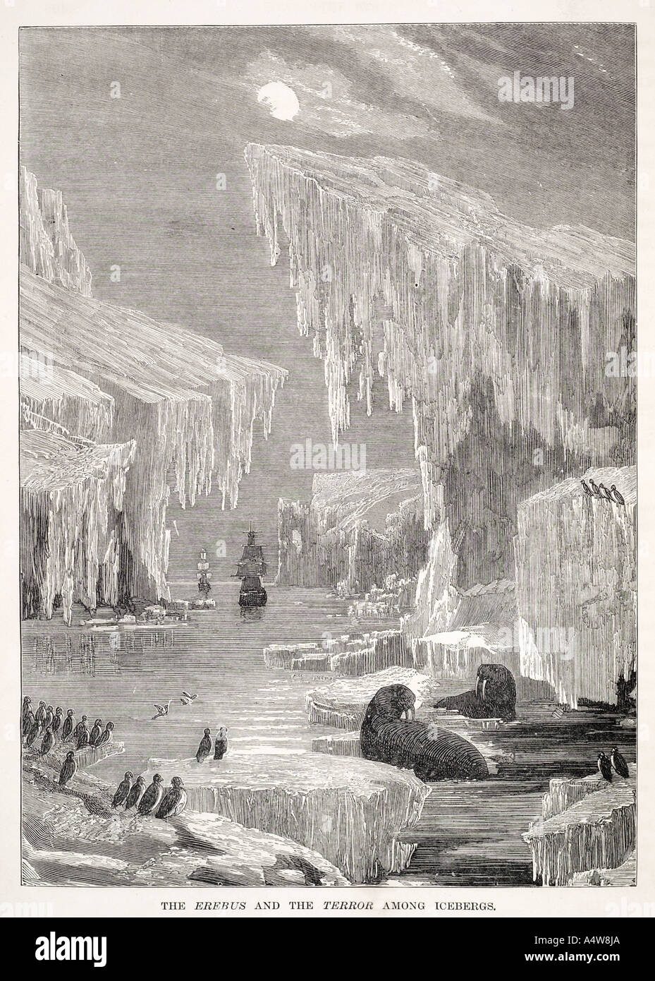 La terreur d'Erebus navire iceberg ice explorer trouver tosk morse naviguer voile d'oiseaux-faux danger froid polaire arctique marin gel marit Banque D'Images