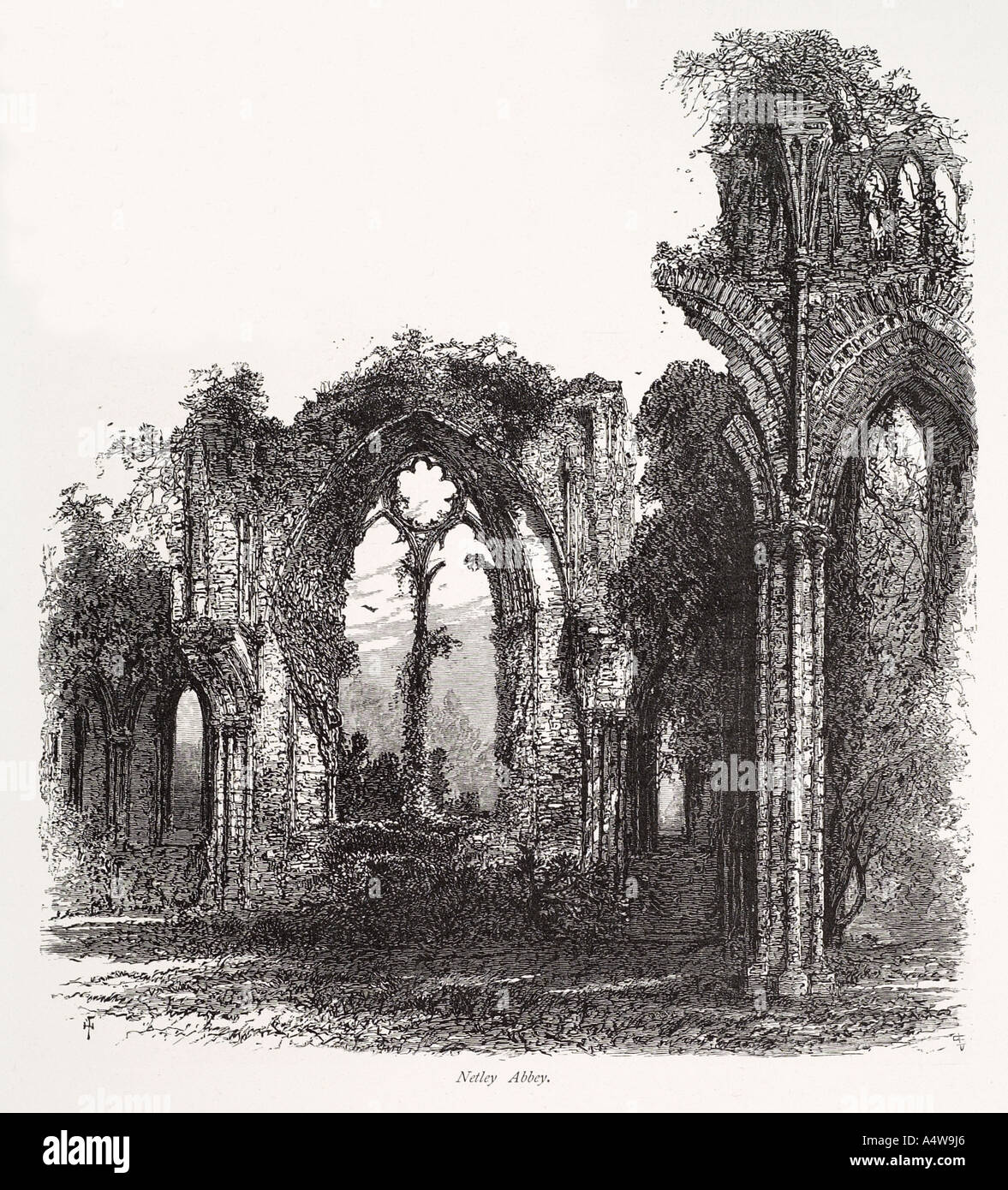 Abbaye de Netley 13 siècle ruine abbaye cistercienne Hampshire UK GB Angleterre architecture Arc'Antique religion Chrétienne mediev gothique Banque D'Images