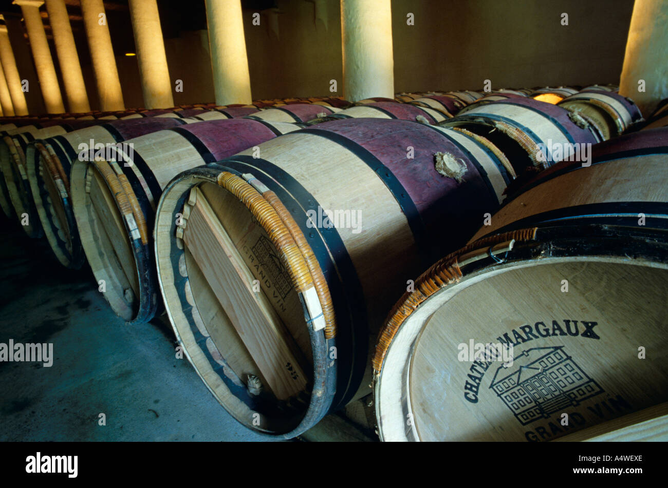 Chateau Margaux vin en barils Banque D'Images