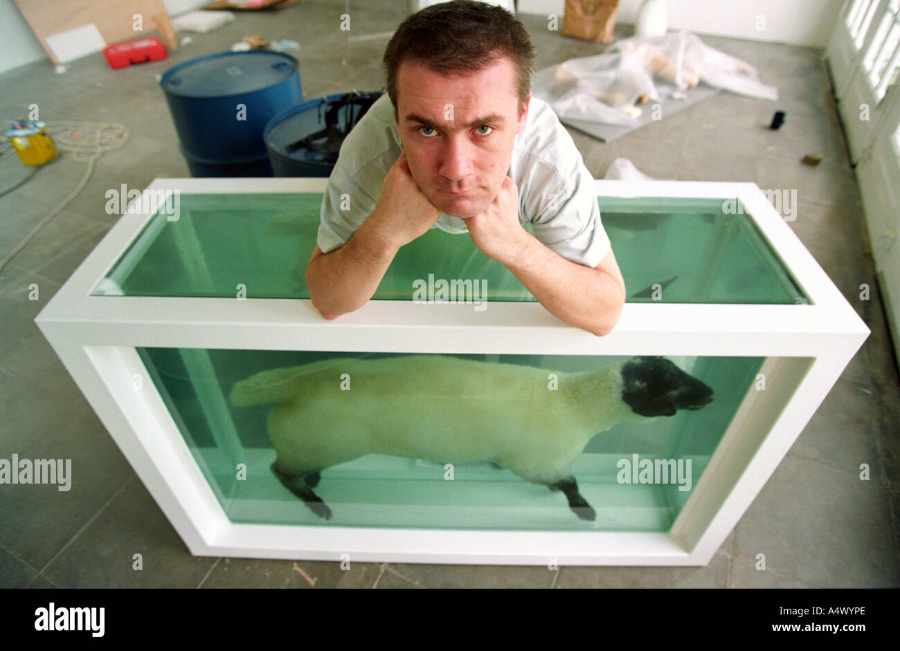 L'artiste britannique Damien Hirst avec son art loin de l'un troupeau de moutons dans un réservoir de formaldéhyde. Photographié en 1994. Banque D'Images