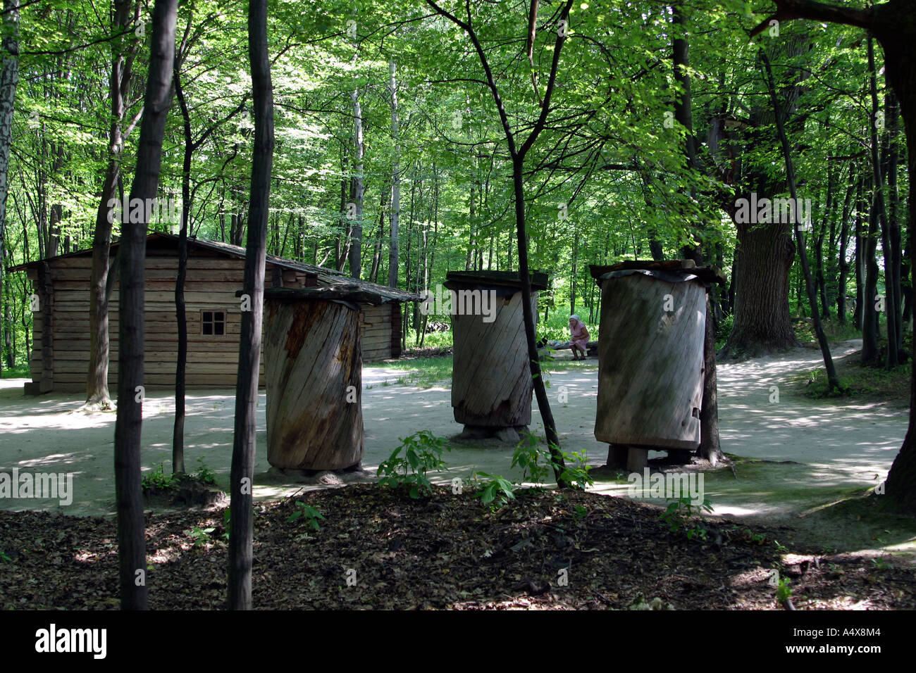 Les ruches en bois sont vus dans Pirohovo Musée National de la culture banlieue de Kiev, Ukraine. Banque D'Images