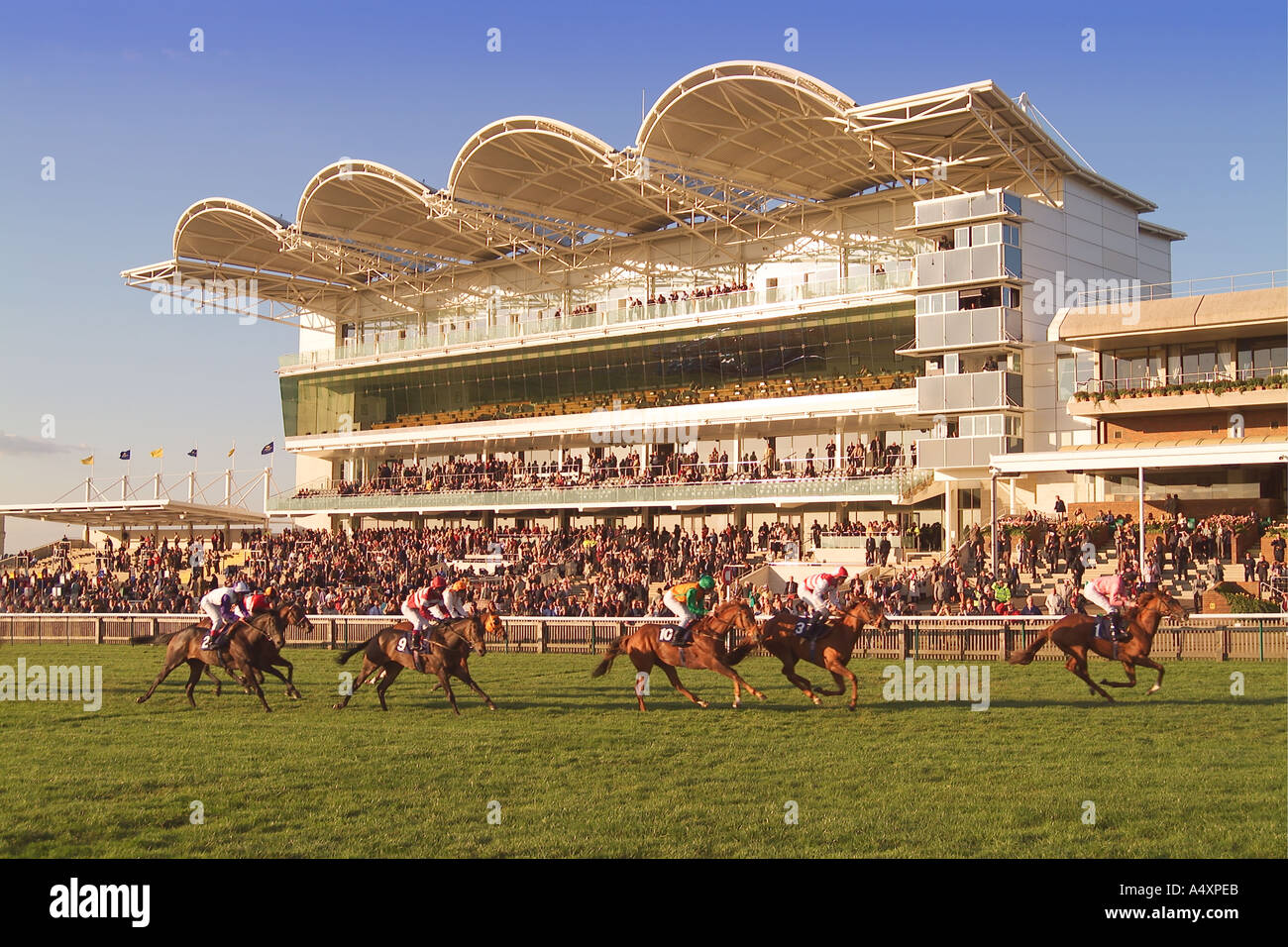 Courses hippiques à Rowley Mile Race Course Newmarket Suffolk Angleterre UK Banque D'Images