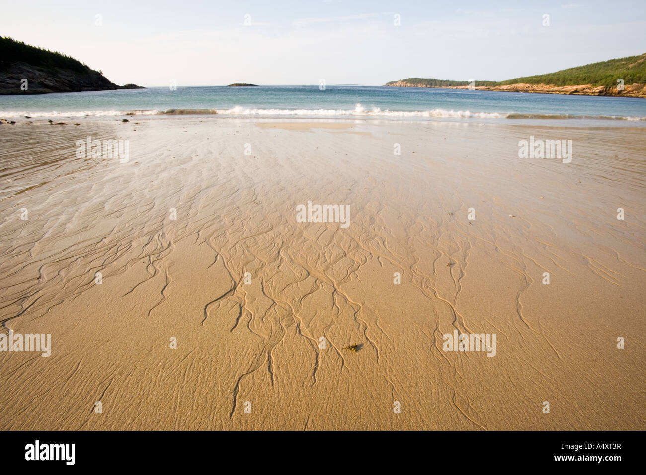 Plage de sable fin dans le Maine s'Acadia National Park Banque D'Images