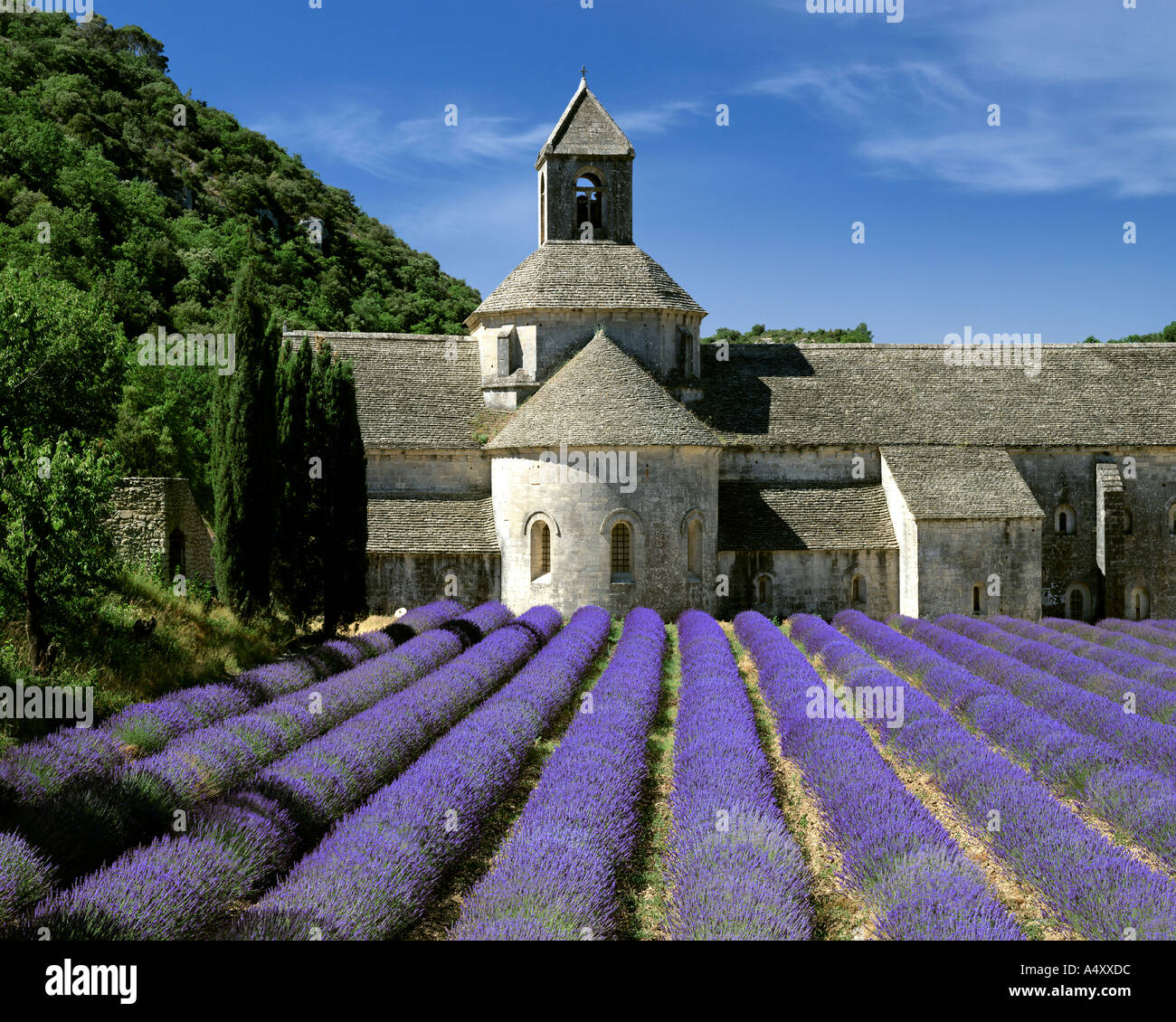 FR - Vaucluse : Abbaye Notre Dame de Sénanque près de Gordes Banque D'Images