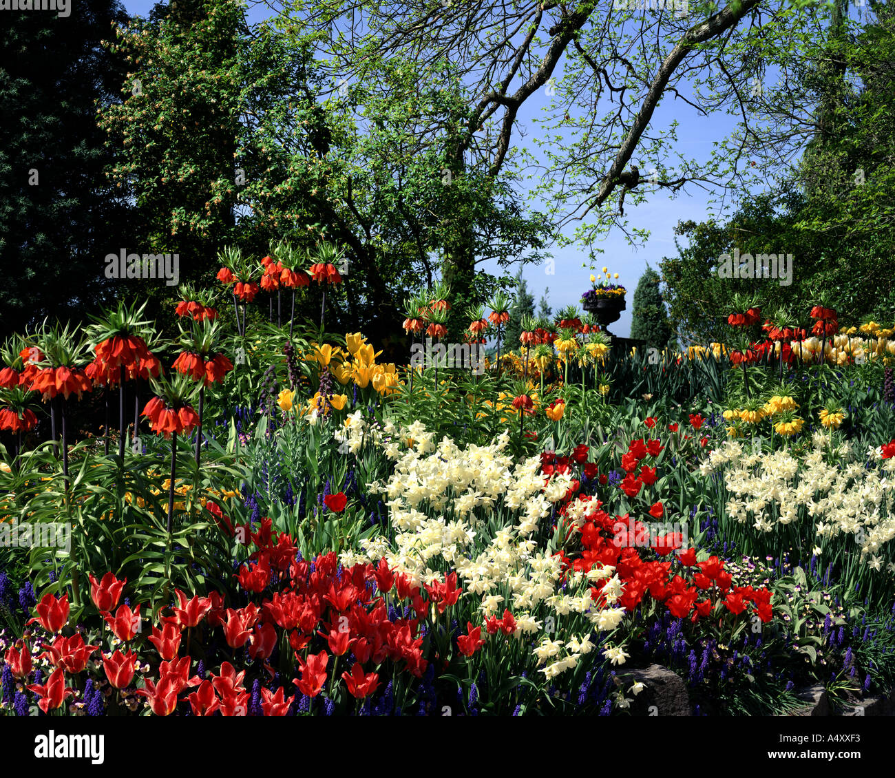 DE - Baden Wurtemberg : Jardins de l'île de Mainau Banque D'Images