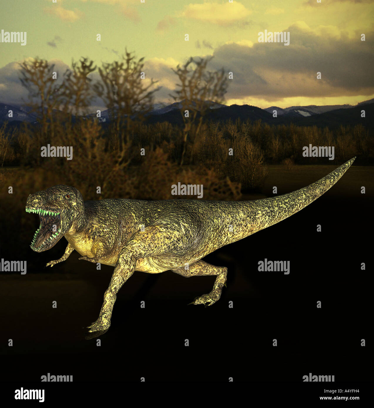 Le Tyrannosaurus rex a son nom de roi de l'Tyrannenechsen, dans la période du Crétacé a vécu et une hauteur maximale de 6 m et un Banque D'Images