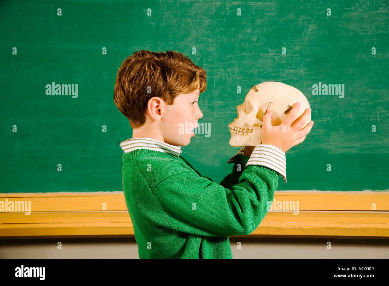 Boy looking at crâne in classroom Banque D'Images Boy looking at crâne in classroom Banque D'Images