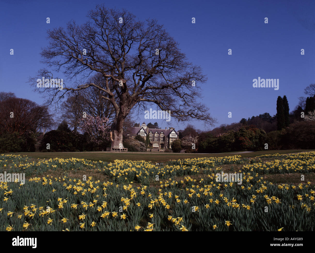 Le monde célèbres jardins Bodnant à Tal y Cafn Snowdonia Colwyn Banque D'Images