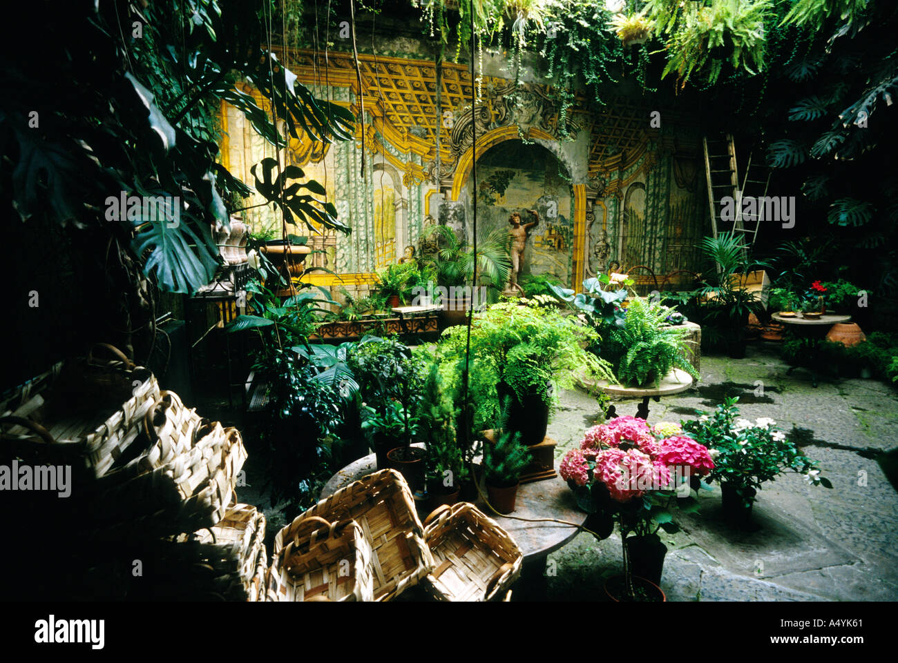 Italie Sorrento Campanie magasin de fleurs avec l'intérieur de carreaux de majolique traditionnels Banque D'Images